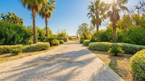 Foto 4 de Casa o chalet de alquiler en Binissalem, Illes Balears