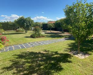 Jardí de Casa o xalet en venda en Martinamor