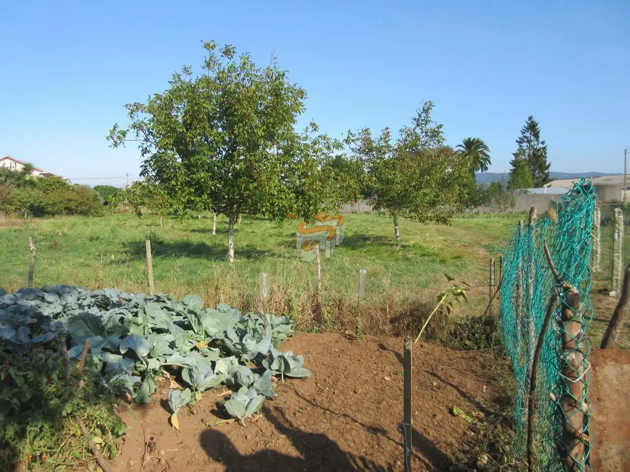 Casa rústica amb jardí en venda a A Malata - Catabois - Ciudad Jardín, imagen 19