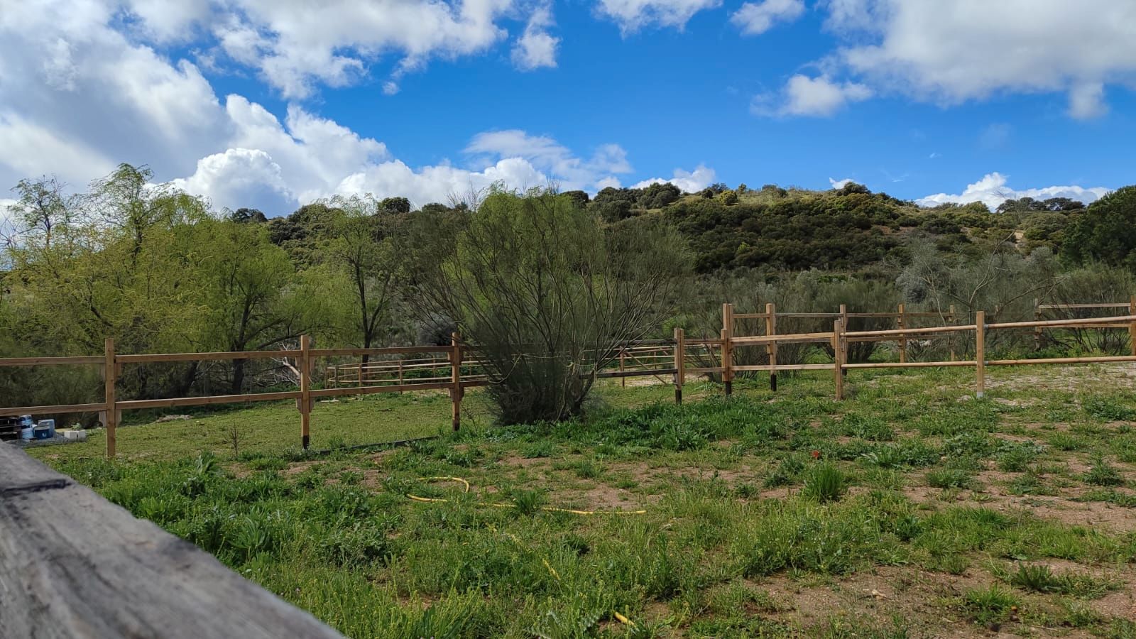 Land for sale in Valdemorillo