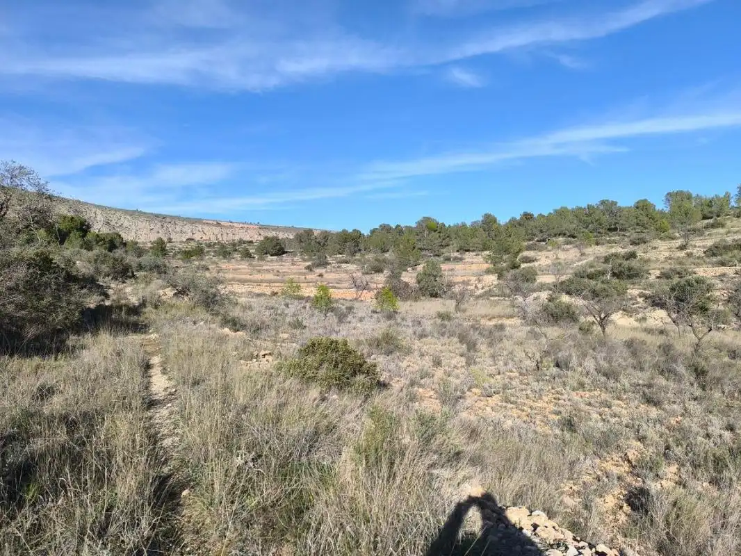 Rural land for sale in C-3320