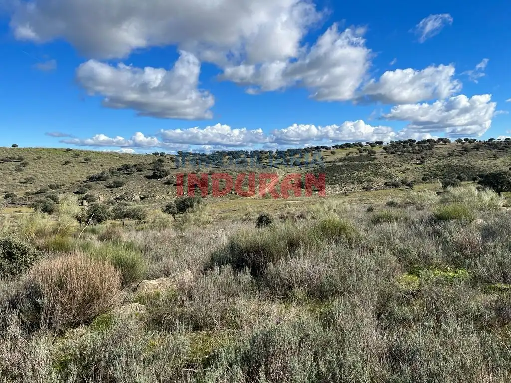 Finca rústica en venta en Carrascalejo