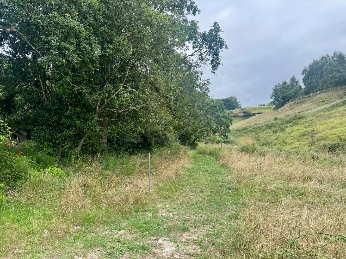 Terreno en venta en Villaviciosa