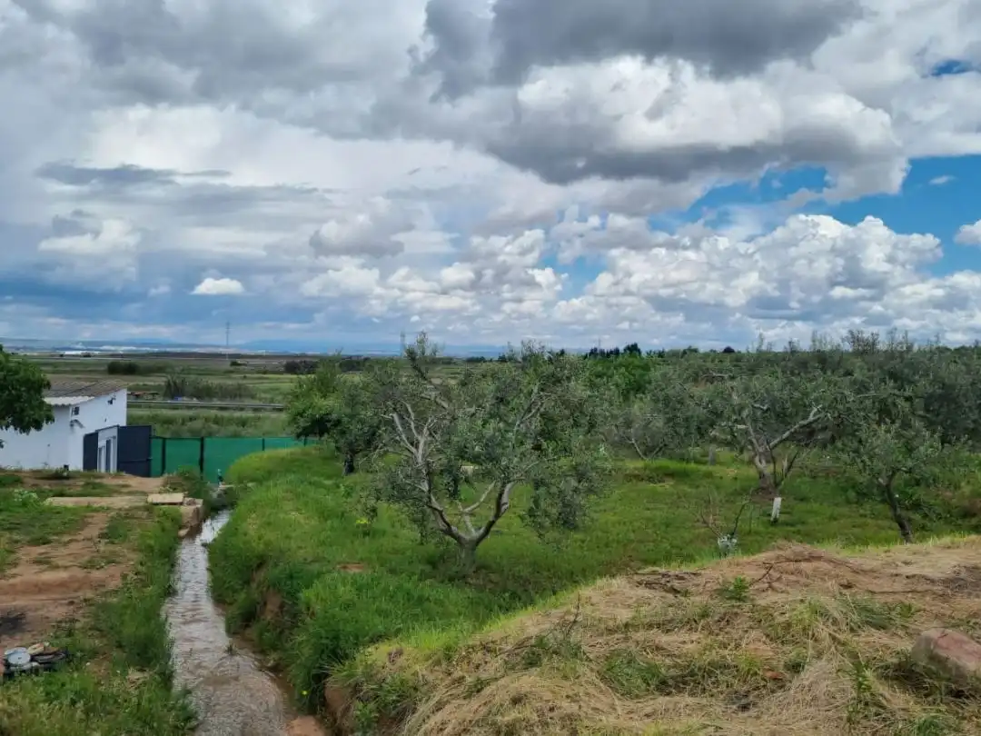 Terreno rustico in vendita a Calle del Carmen 6, imagen 9