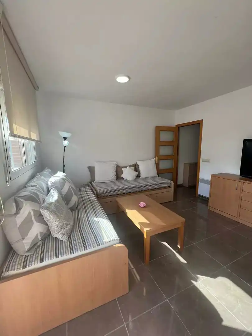 Apartamento con terraza en venta en Moxó - Sant Mori, imagen 11