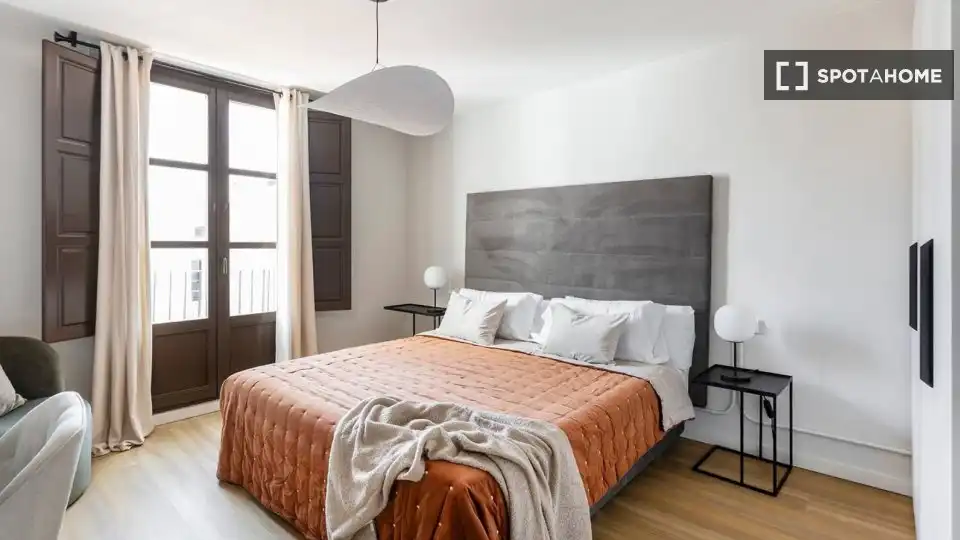 Flat with terrace to rent in Ciutat Vella, imagen 18