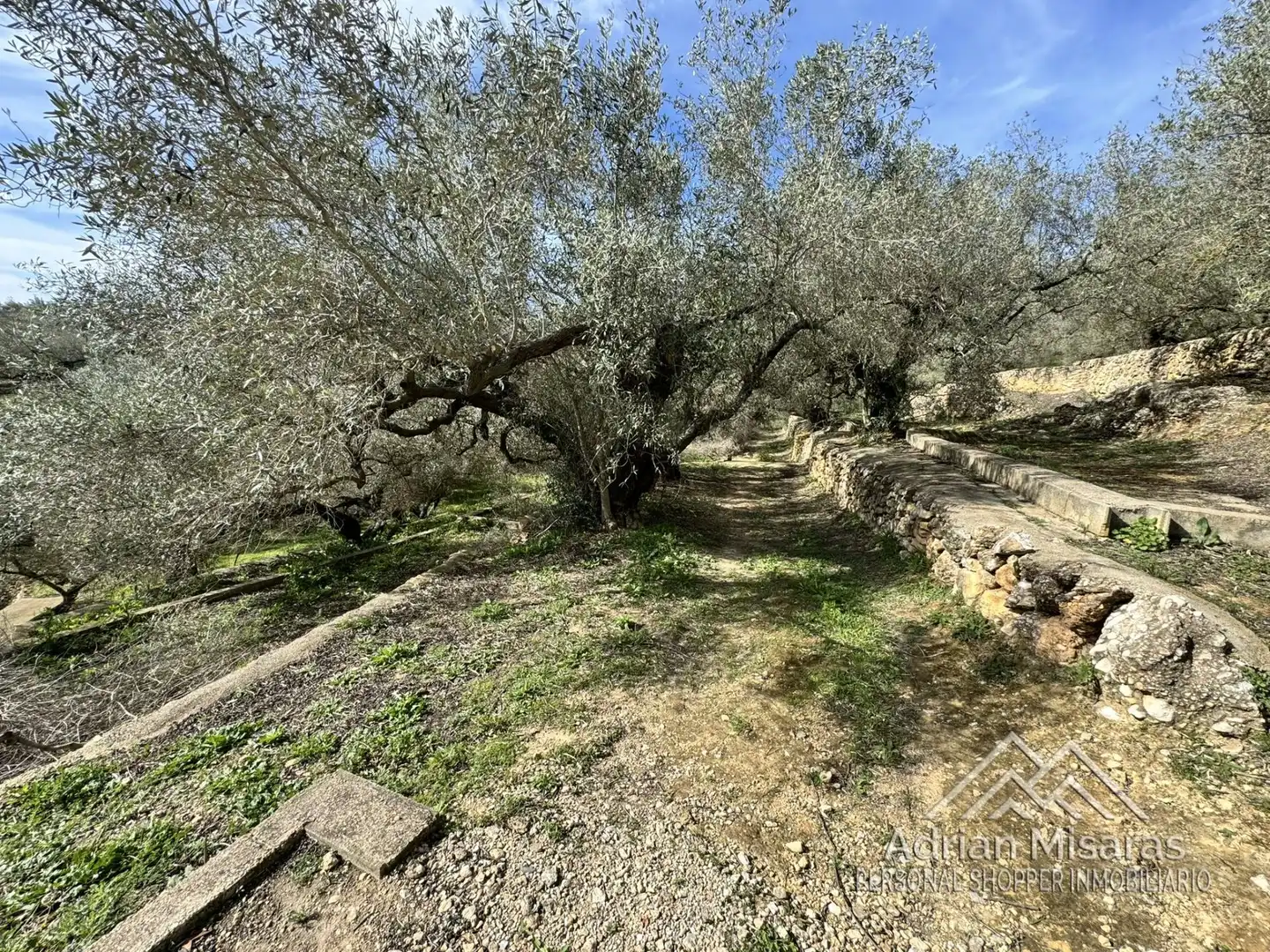 Terreno rústico en venta en L'Aldea, imagen 21
