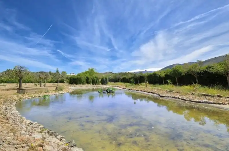 Terreni e lotti in vendita a Dílar, imagen 16