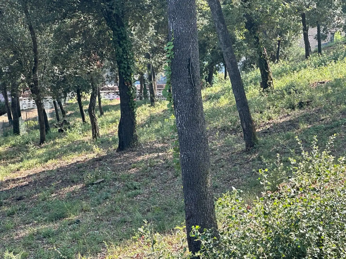 Residencial en venta en Santa Maria de Palautordera