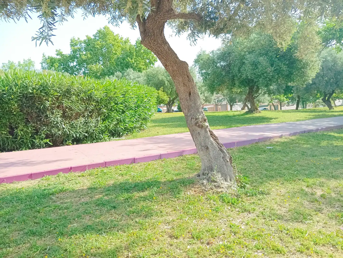 Casa adosada en venda en Alhaurín de la Torre amb Aire condicionat, Jardí privat i Terrassa