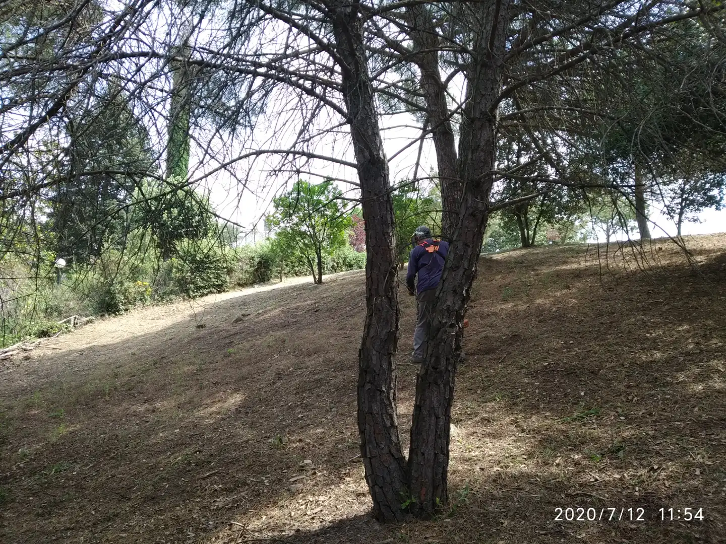 Residential land for sale in Carrer de Sant Bernat 72, imagen 6