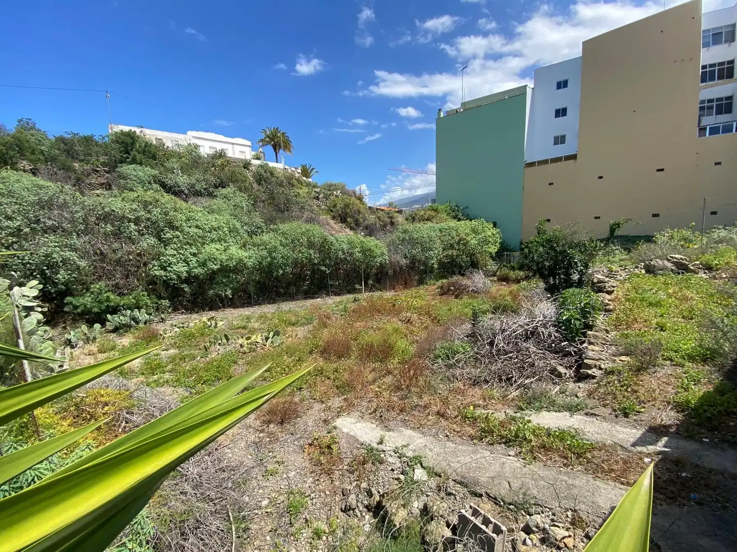 Terrenos y solares en venta en San Felipe - San Marcos - Las Cañas