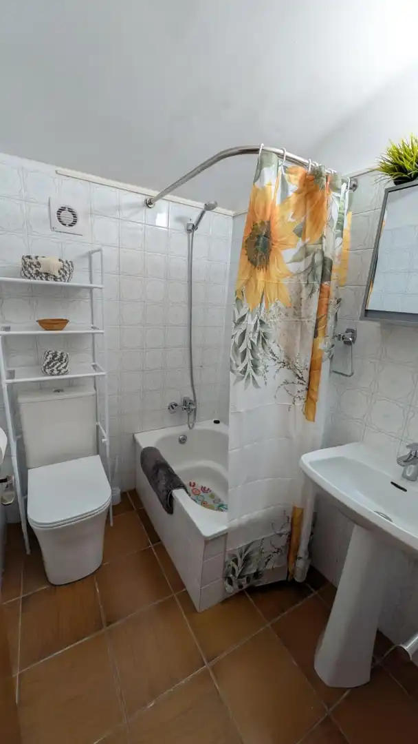 Casa o chalet de alquiler en Sant Feliu de Pallerols