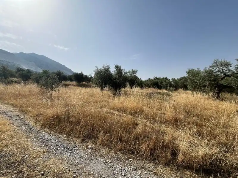 Rural land for sale in Dúrcal, imagen 4