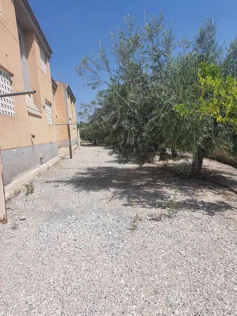 Inmuebles singulares en venta en Abanilla, imagen 28