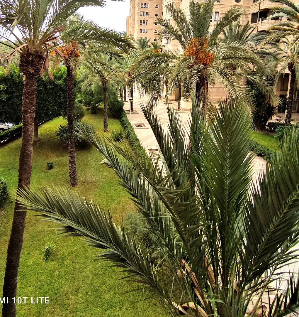 Flat with terrace for sale in Elche ciudad, imagen 7
