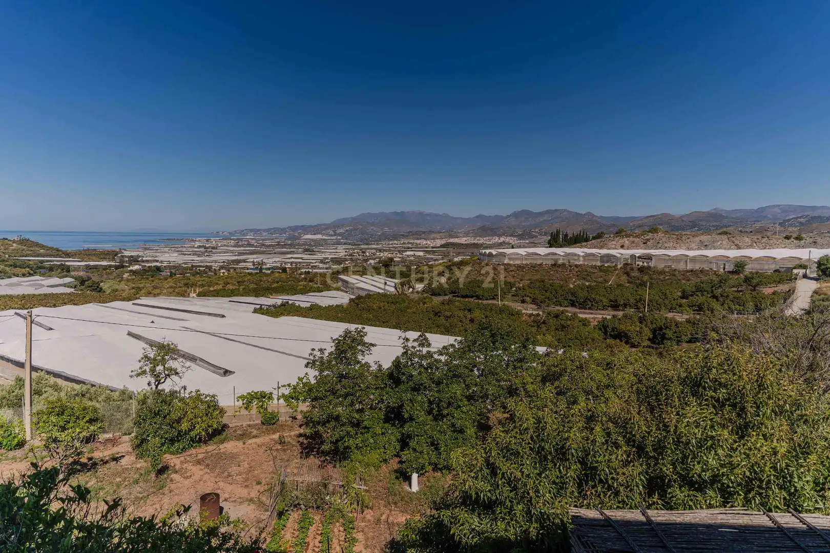 Vista exterior de Casa o chalet en venta en Motril
