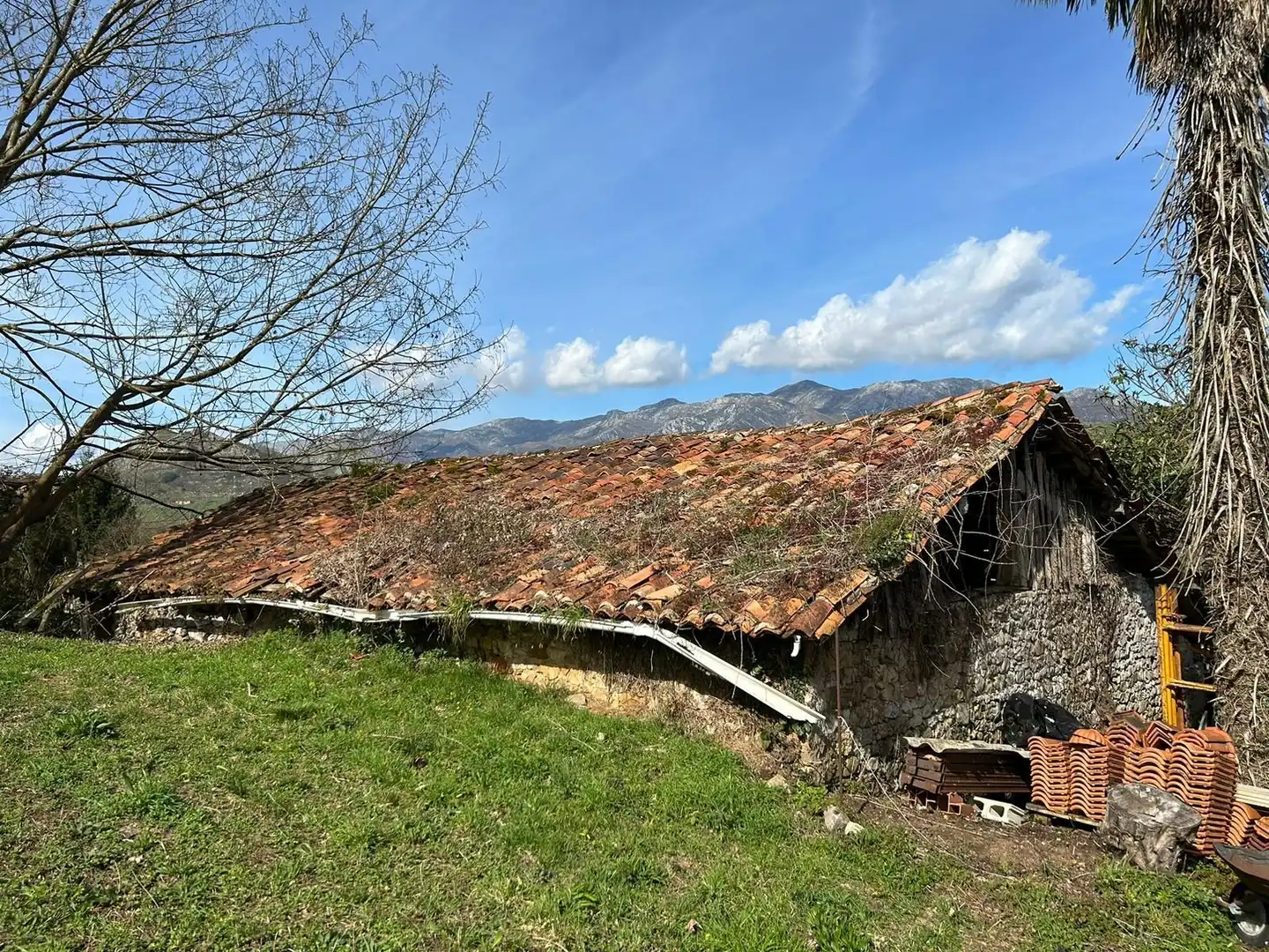 Terreni e lotti in vendita a Cangas de Onís, imagen 10
