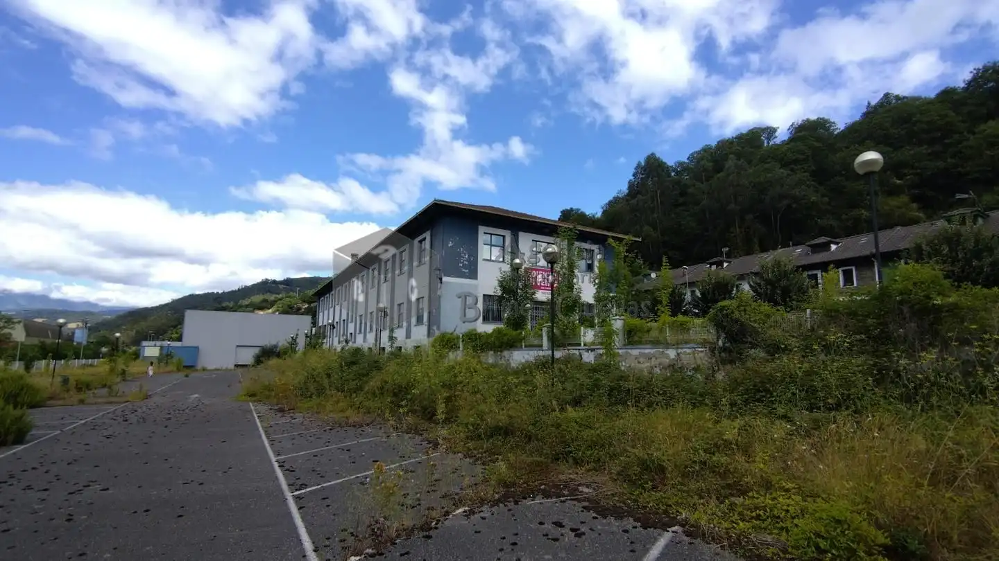Vista exterior de Nave industrial en venta en Mieres (Asturias)