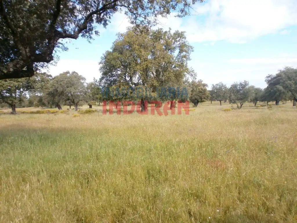 Casa rústica en venda a Malpartida de Plasencia, imagen 8