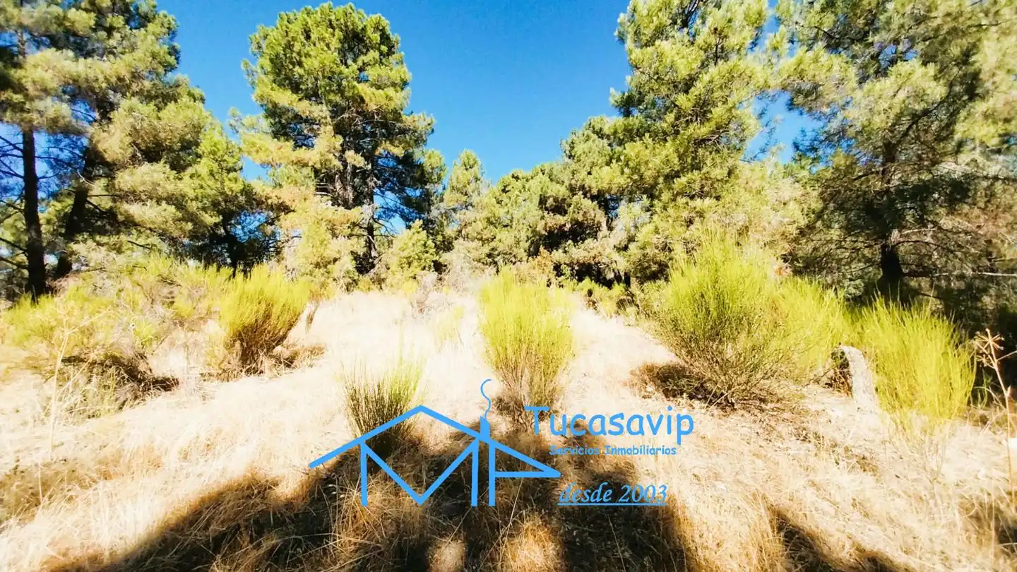 Terreno en venta en Cadalso de los Vidrios