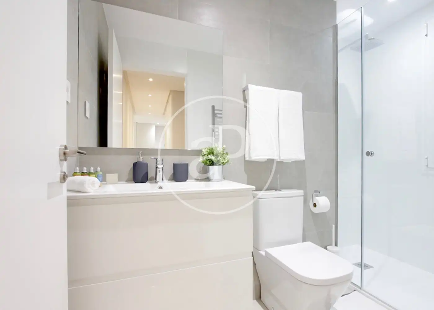 Bathroom of Flat for rent in Barrio de Salamanca