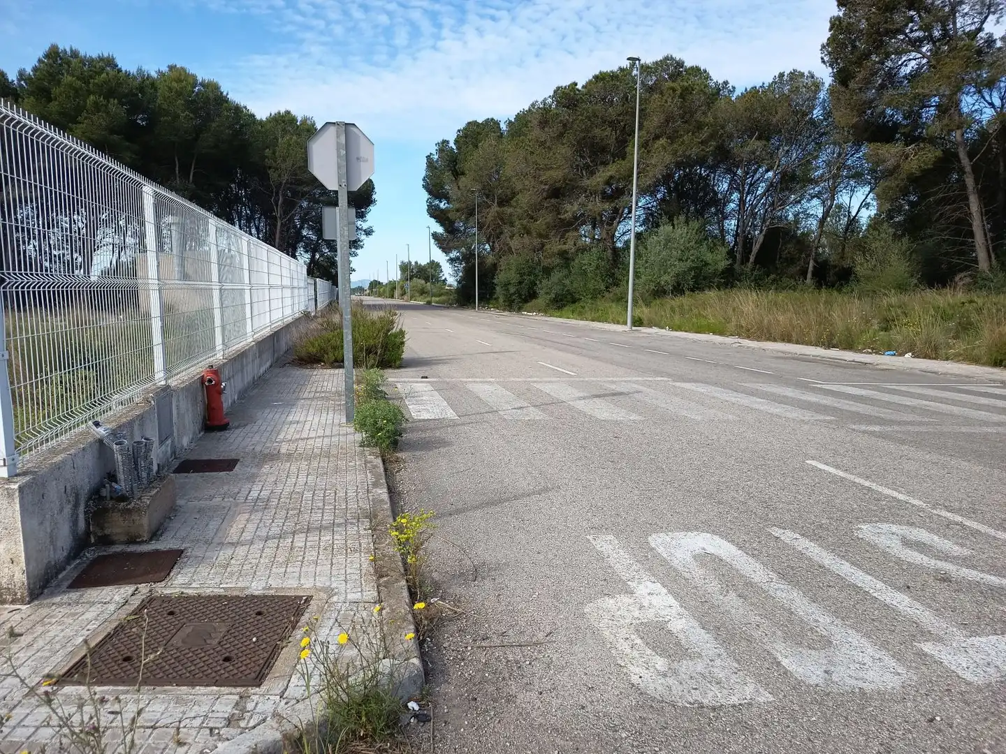 Terreni e lotti in vendita a PLANES ALTES C 11, imagen 6