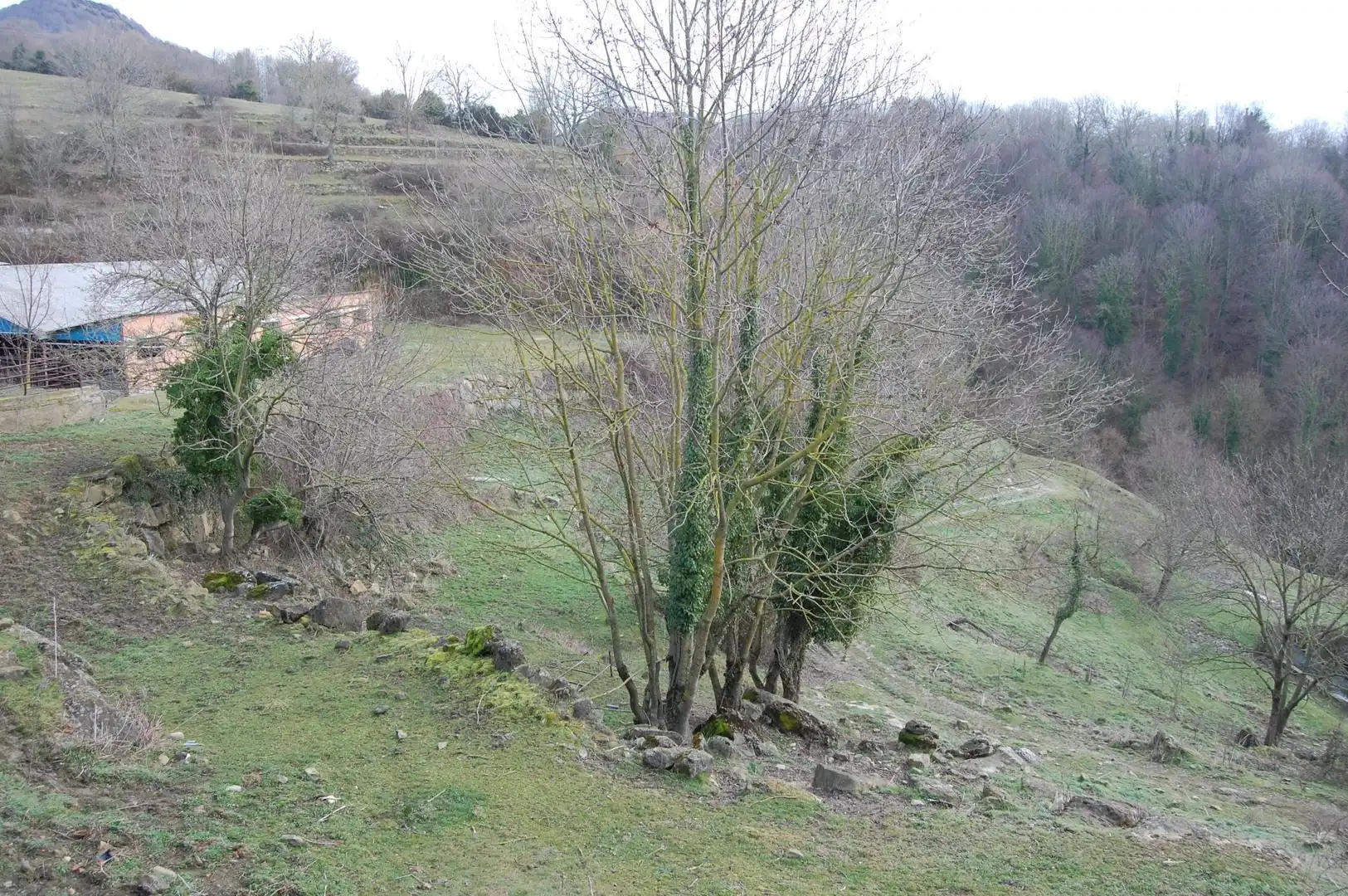 House with garden for sale in Santa Maria de Besora, imagen 15