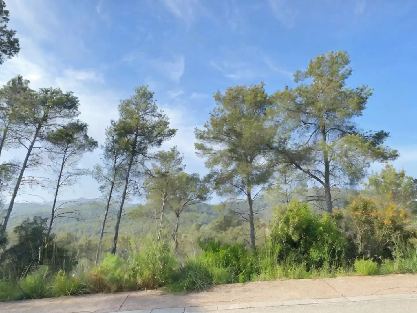 Terrenos y solares en venta en del Llop, imagen 2