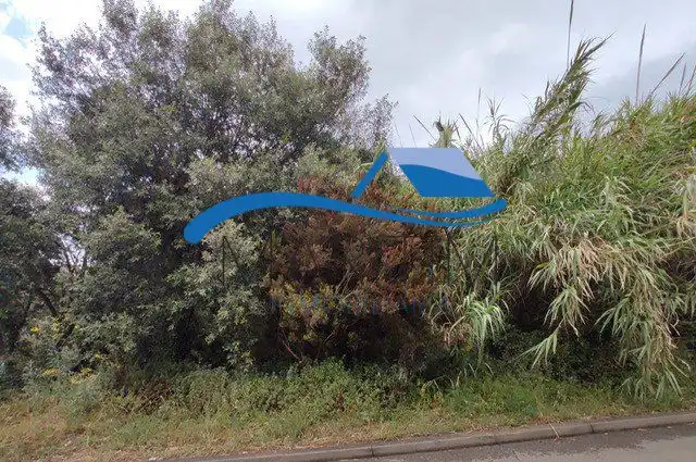 Lands and plots for sale in Flors, imagen 8