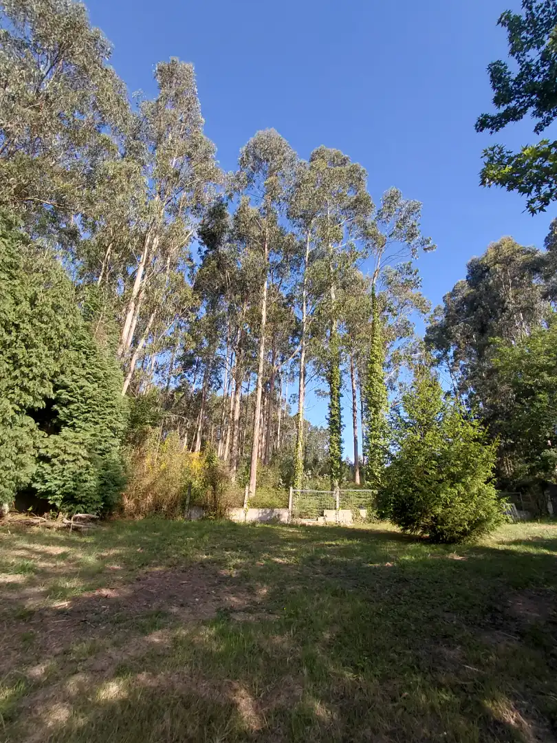 Jardín de Casa o chalet en venta en Oleiros con Aire acondicionado, Calefacción y Jardín privado