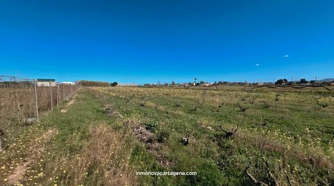 Foto 2 de Terreno en venta en Pasaje Villa Mariloli, 24, La Palma, Cartagena