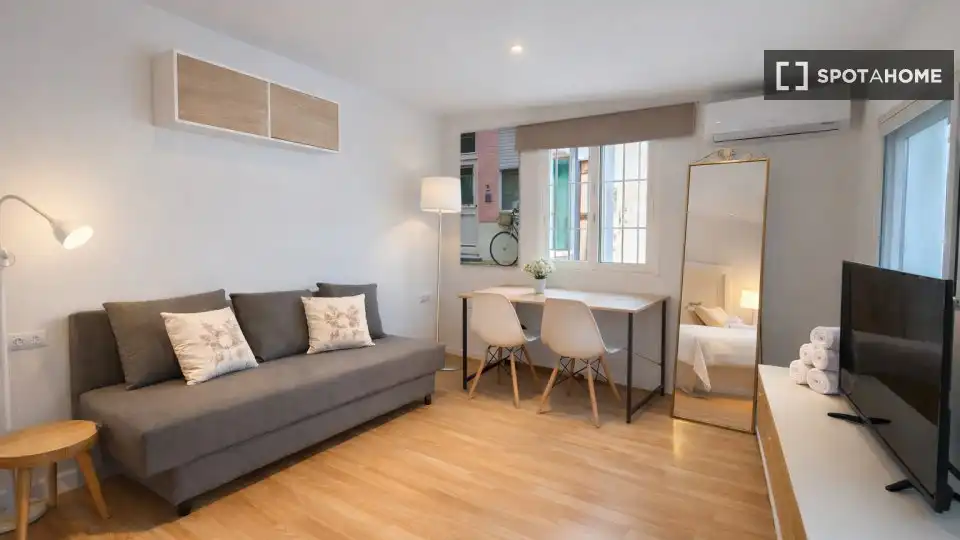 Room in Casco Antiguo - Sta. Cruz - Ayuntamiento