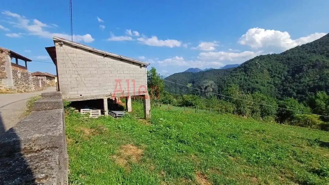 House with garden for sale in Taja, imagen 14