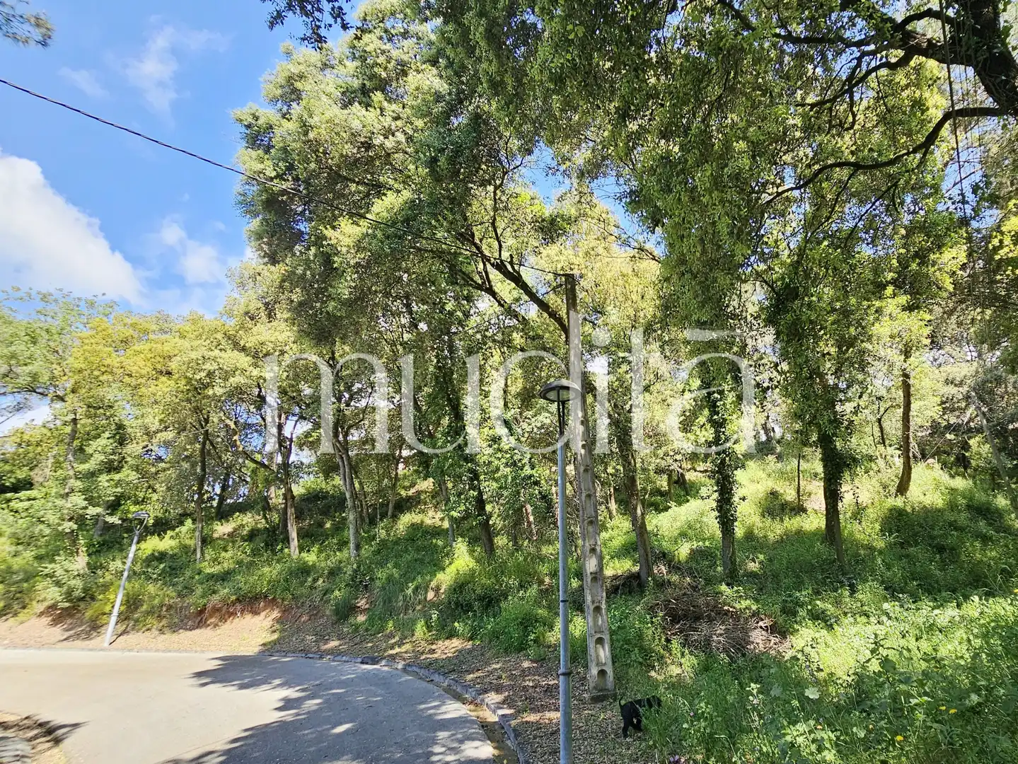 Residential land for sale in Sant Pere de Vilamajor, imagen 7