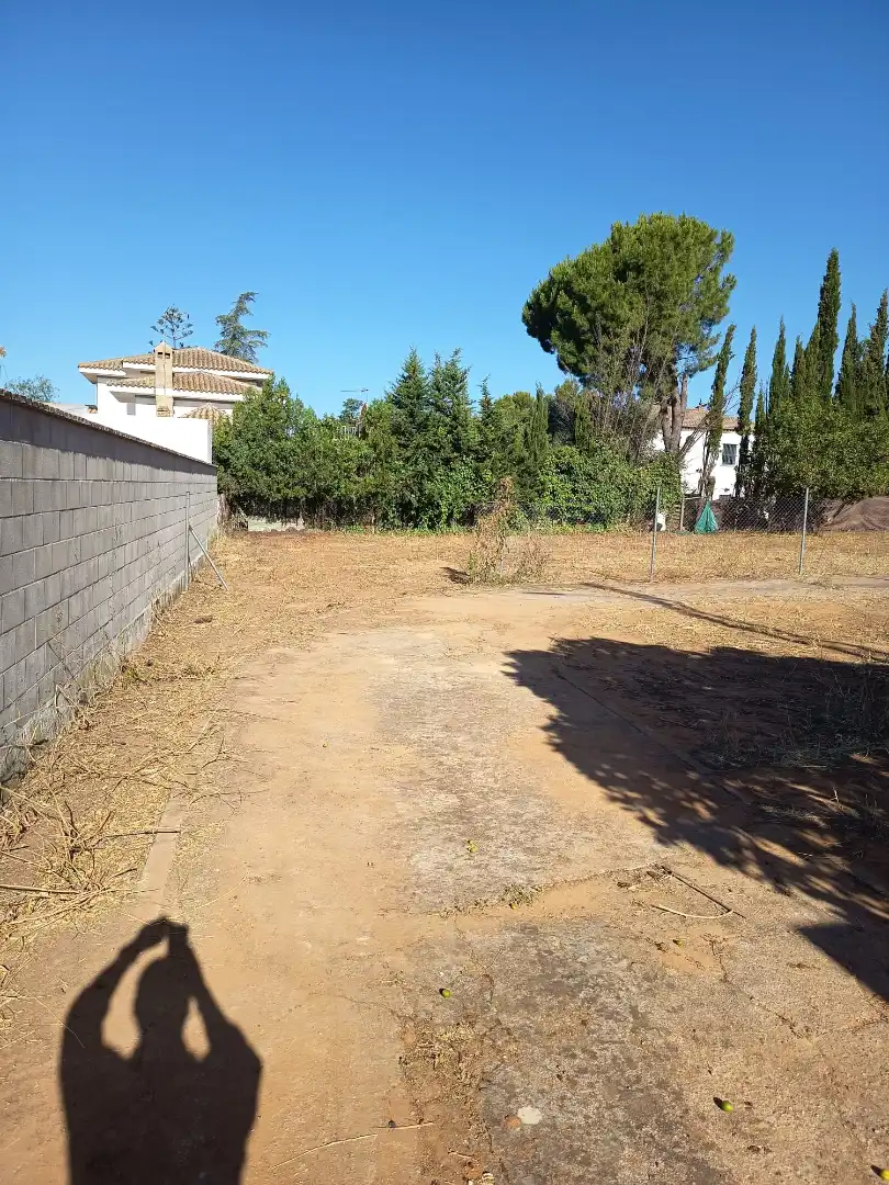 Casa o chalet en venta en Palomares del Río