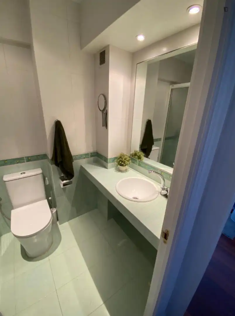 Bathroom of Apartments for share in Bilbao   with Furnished, Oven and Washing machine