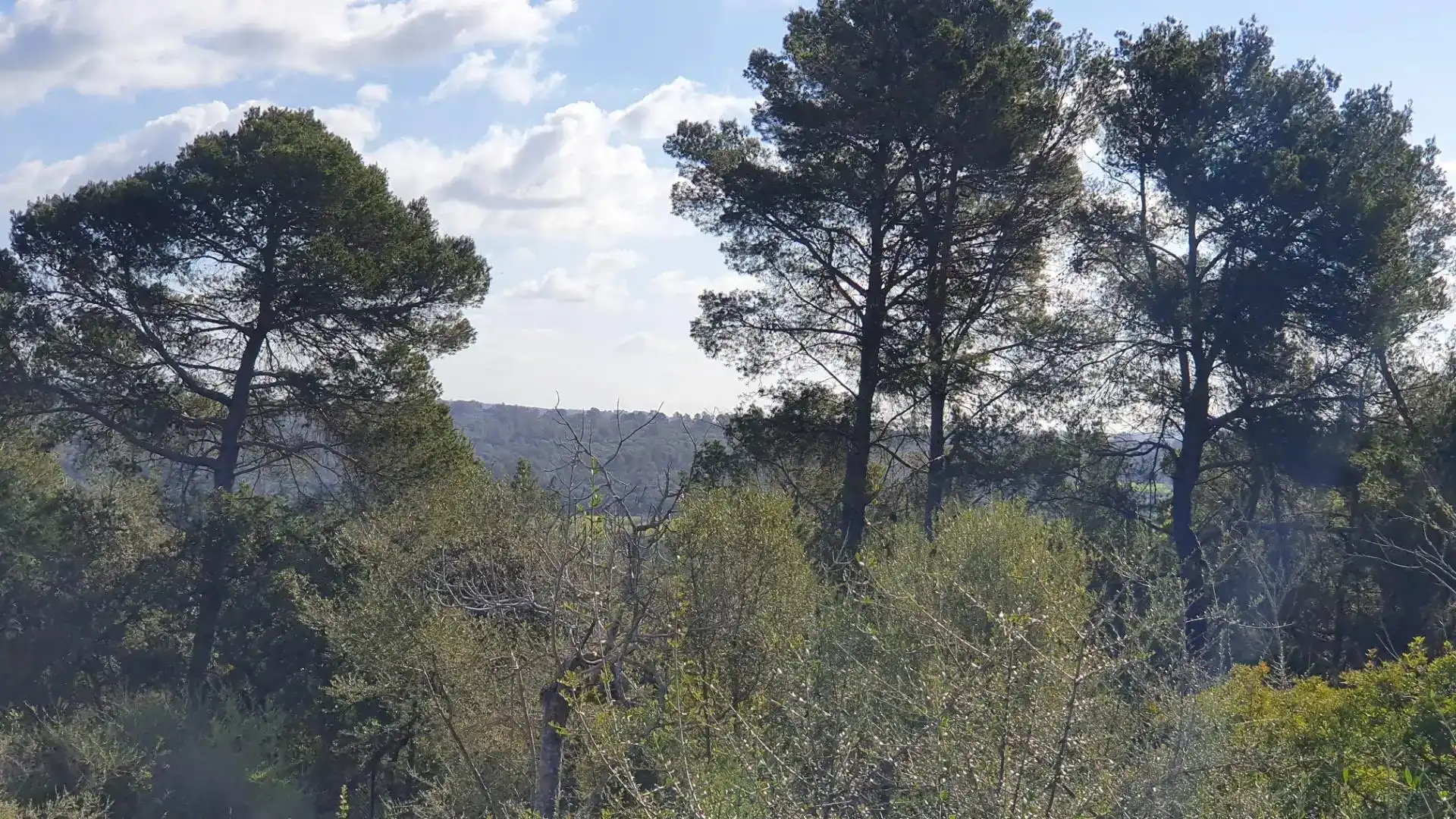Terreny en venda en Costitx