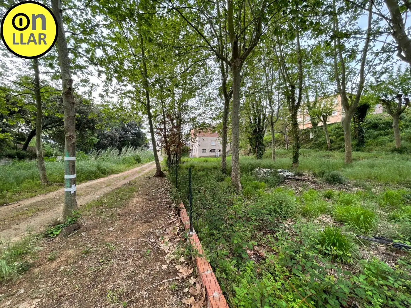Residential land for sale in Calle Alzina, imagen 26