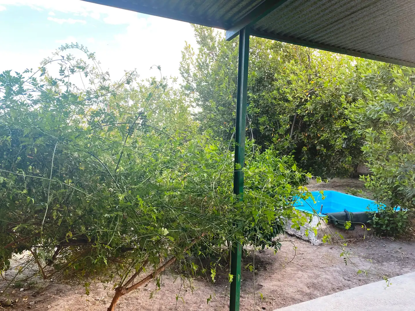 Villa con giardino in vendita a Cabra