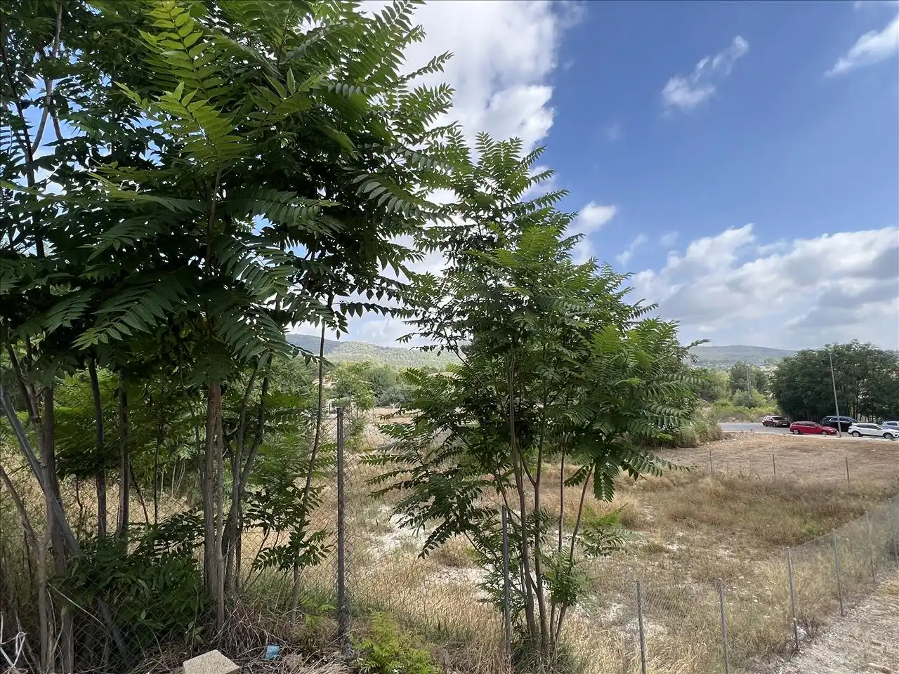 Terreny residencial en venda a Alegría, imagen 15