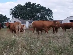 Terreni e lotti in vendita a Norte, imagen 21
