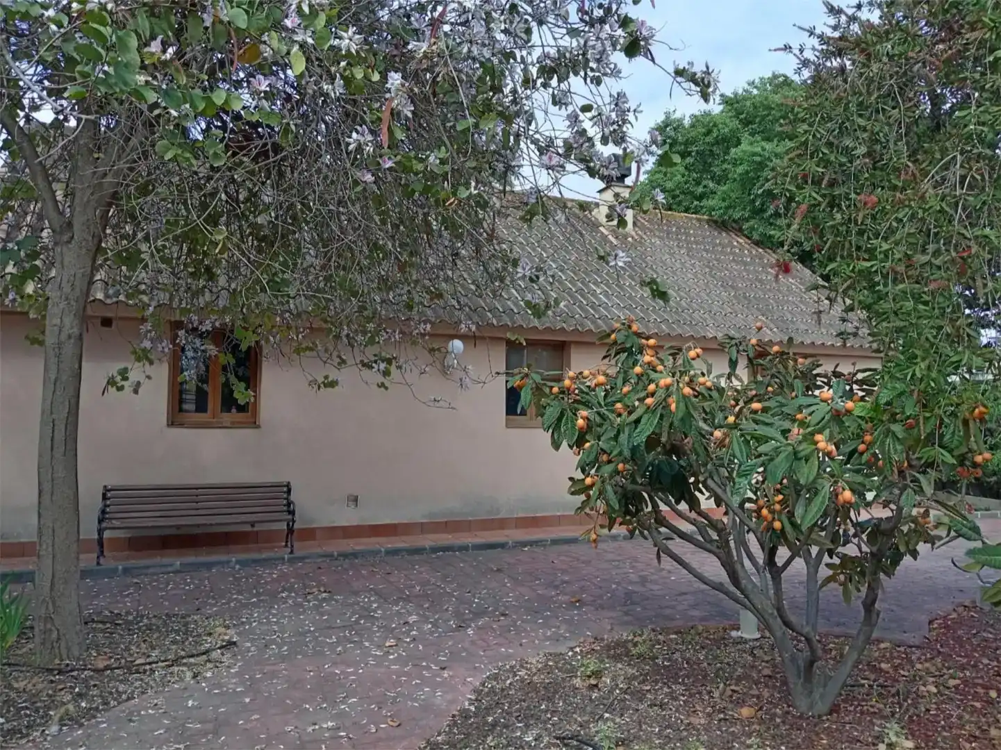 Vista exterior de Pis en venda en Murcia amb Aire condicionat, Jardí privat i Traster