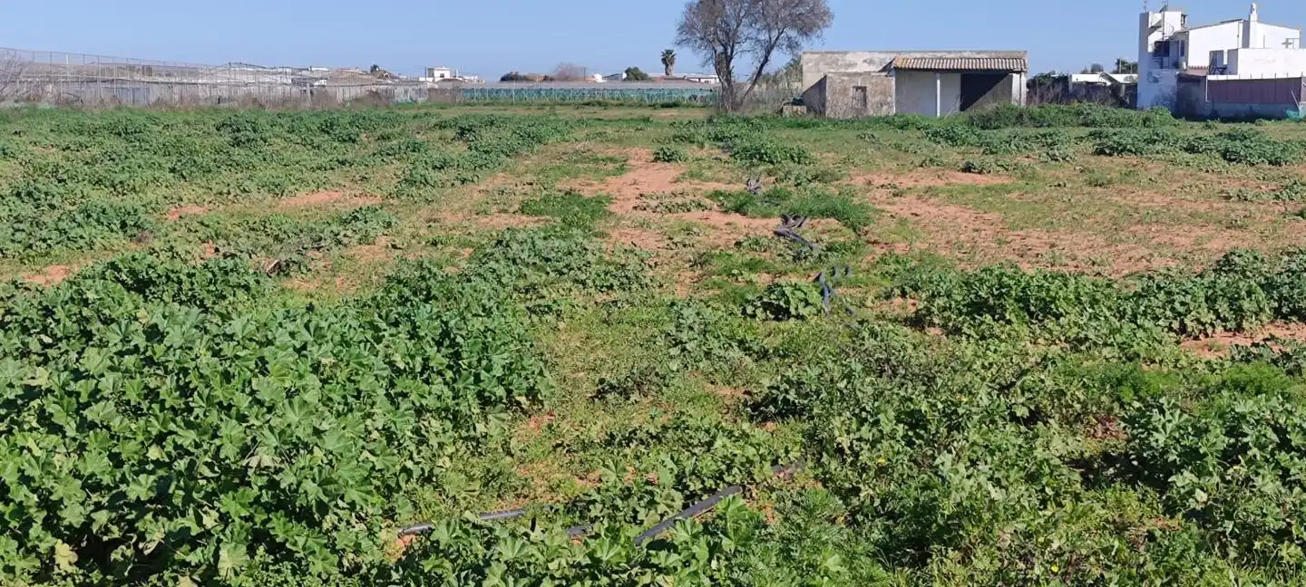 Terreno rustico in vendita a CM DEL AHORCADO, imagen 7