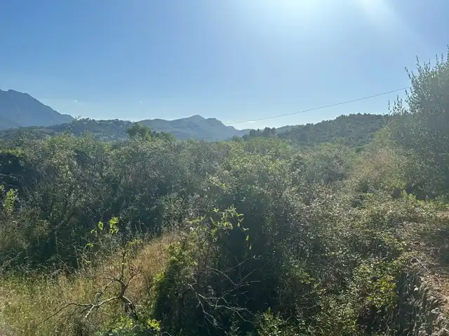 Rural land for sale in Vilallonga / Villalonga, imagen 15