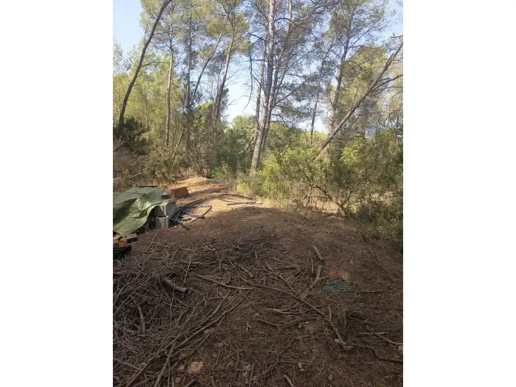 Terreno rustico in vendita a Diseminados Sector 4.5 Santa Agnes, imagen 8