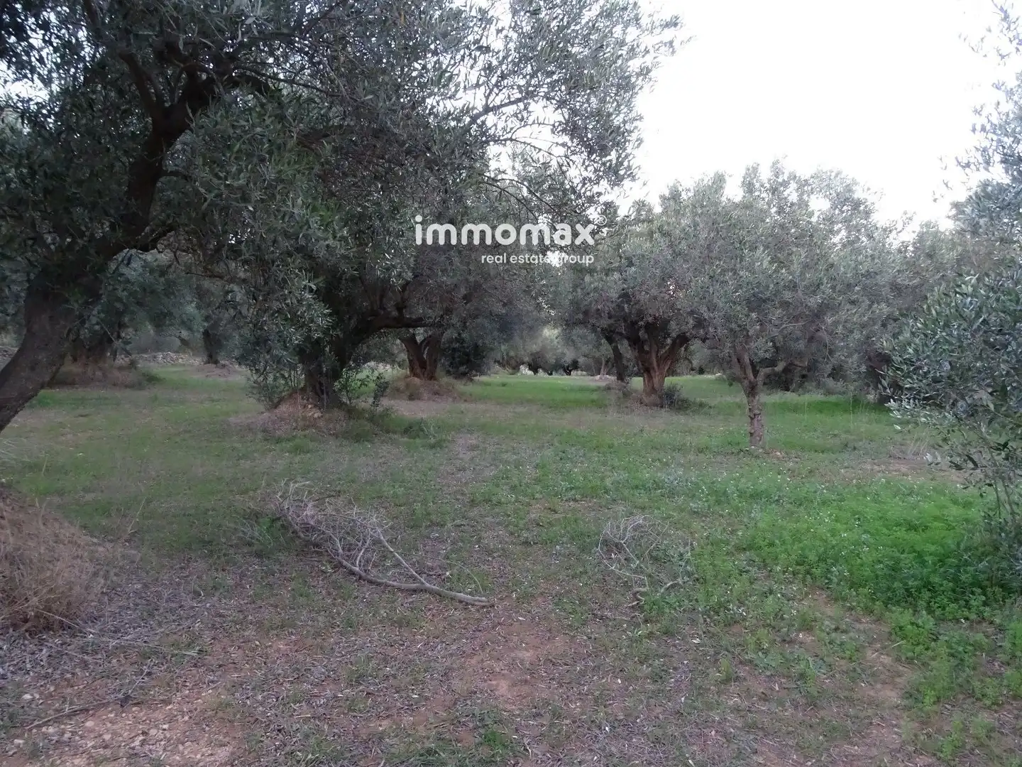 Terrain résidentiel à vendre à 12, imagen 17