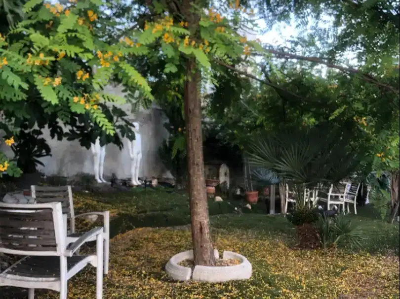 Jardí de Casa o xalet en venda en Cunit amb Aire condicionat, Piscina i Balcó