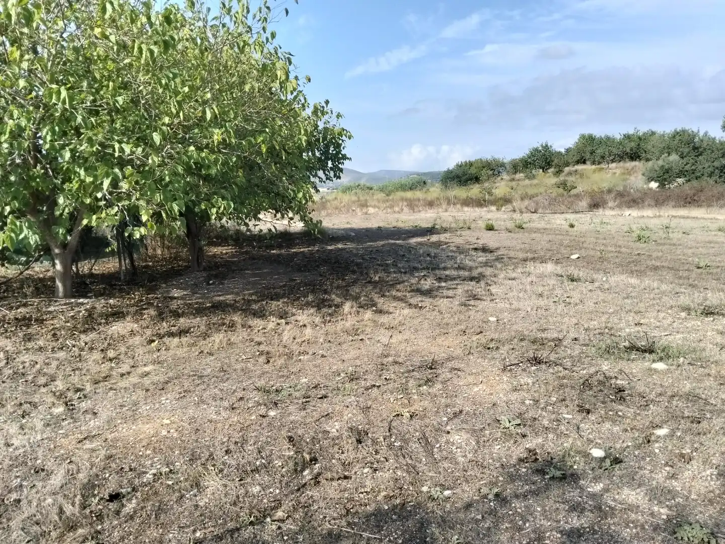 Terrain rustique à vendre à Guadassuar, imagen 10