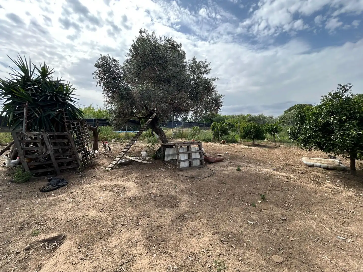 Finca rústica en venta en Utrera